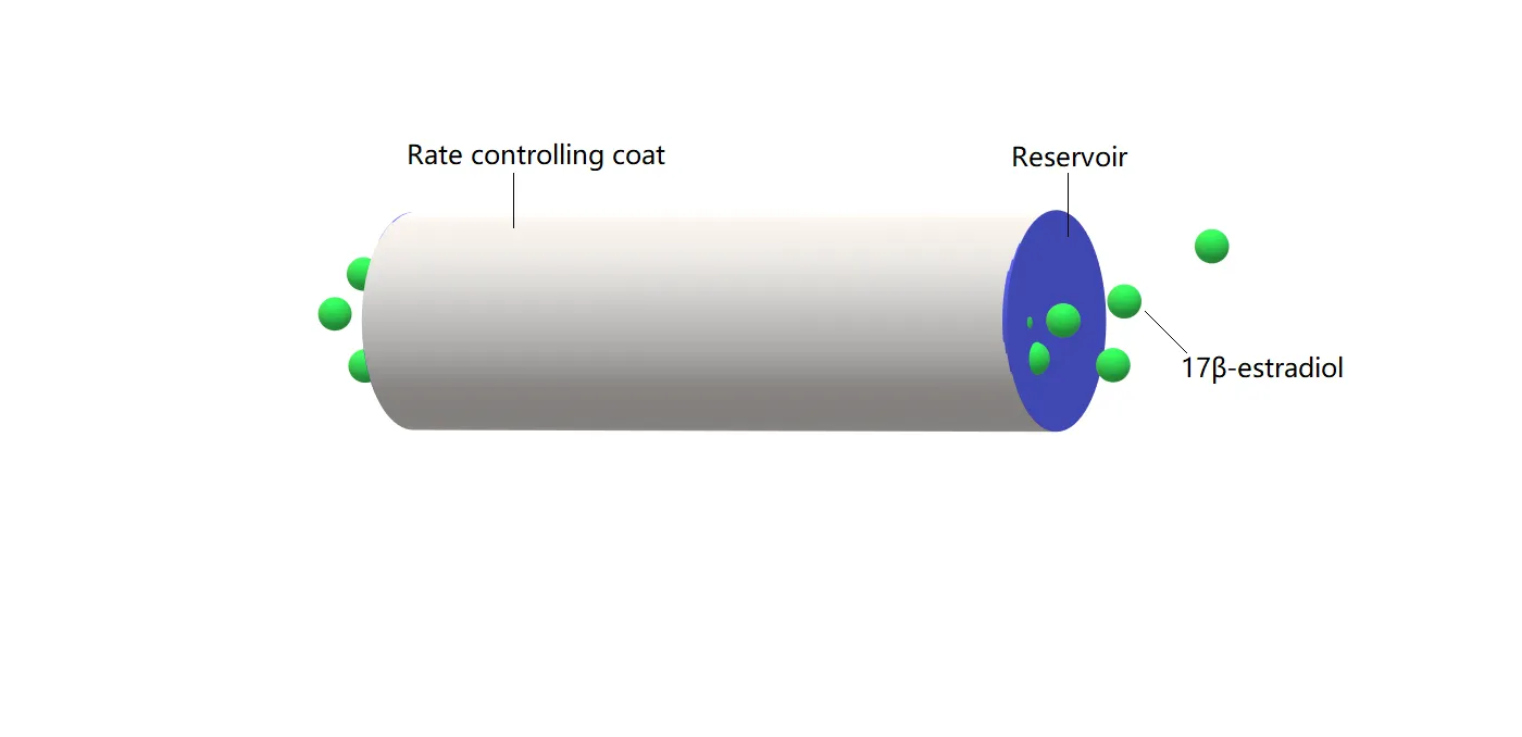 Laboratory research setup showing estrogen product applications